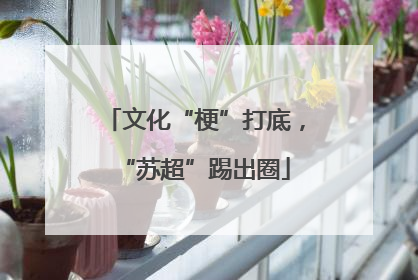 文化“梗”打底，“苏超”踢出圈