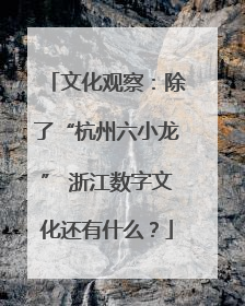文化观察：除了“杭州六小龙” 浙江数字文化还有什么？