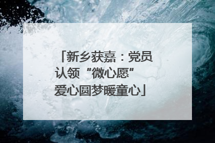 新乡获嘉：党员认领“微心愿” 爱心圆梦暖童心