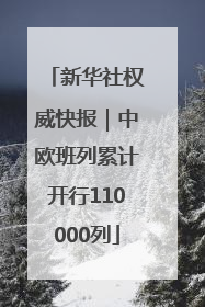 新华社权威快报｜中欧班列累计开行110000列