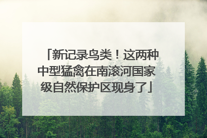 新记录鸟类！这两种中型猛禽在南滚河国家级自然保护区现身了