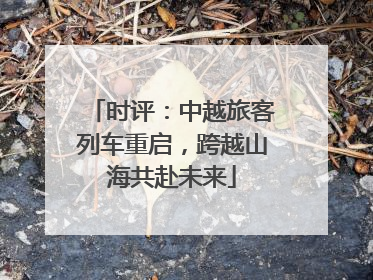时评：中越旅客列车重启，跨越山海共赴未来