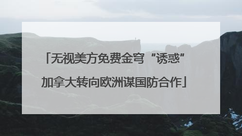 无视美方免费金穹“诱惑” 加拿大转向欧洲谋国防合作