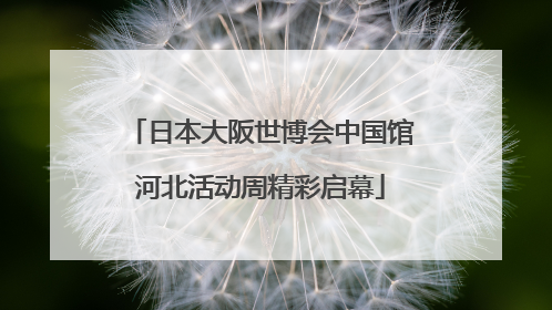 日本大阪世博会中国馆河北活动周精彩启幕