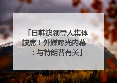 日韩澳领导人集体缺席！外媒曝光内幕：与特朗普有关