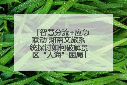 智慧分流+应急联动 湖南文旅系统探讨如何破解景区“人海”困局