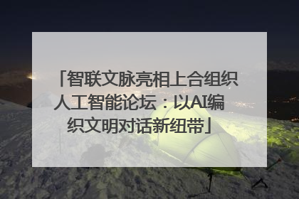 智联文脉亮相上合组织人工智能论坛：以AI编织文明对话新纽带