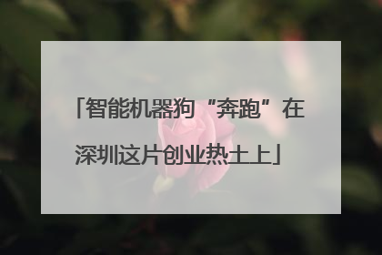 智能机器狗“奔跑”在深圳这片创业热土上
