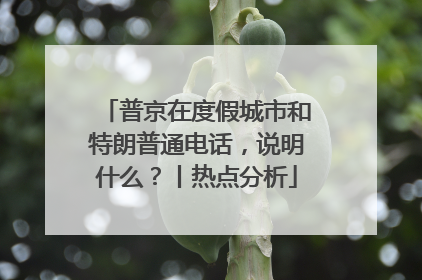 普京在度假城市和特朗普通电话，说明什么？丨热点分析