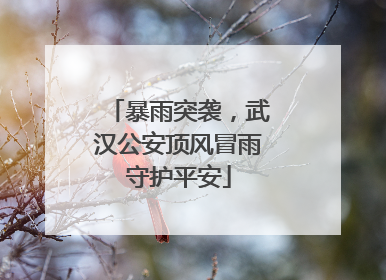 暴雨突袭，武汉公安顶风冒雨守护平安