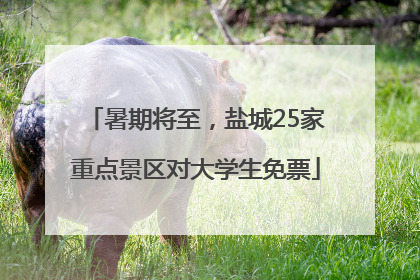 暑期将至，盐城25家重点景区对大学生免票