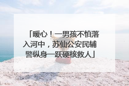 暖心！一男孩不慎落入河中，苏仙公安民辅警纵身一跃硬核救人