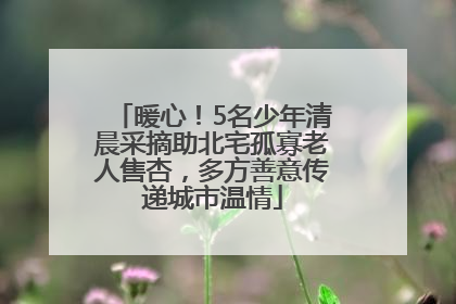 暖心！5名少年清晨采摘助北宅孤寡老人售杏，多方善意传递城市温情