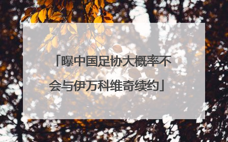 曝中国足协大概率不会与伊万科维奇续约