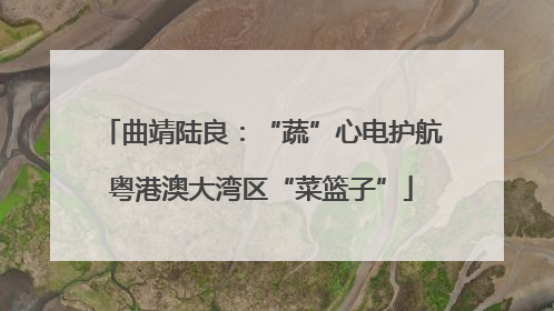 曲靖陆良：“蔬”心电护航粤港澳大湾区“菜篮子”