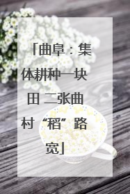 曲阜：集体耕种一块田 二张曲村“稻”路宽