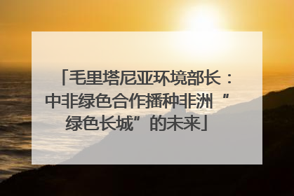 毛里塔尼亚环境部长：中非绿色合作播种非洲“绿色长城”的未来