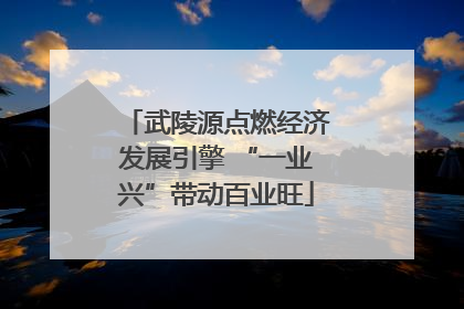 武陵源点燃经济发展引擎 “一业兴”带动百业旺