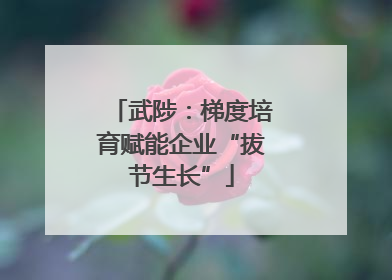 武陟：梯度培育赋能企业“拔节生长”