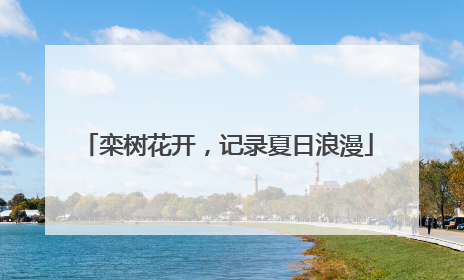 栾树花开，记录夏日浪漫