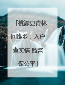 桃源县青林回维乡：入户查实情 监督保公平