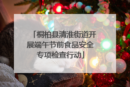 桐柏县清淮街道开展端午节前食品安全专项检查行动