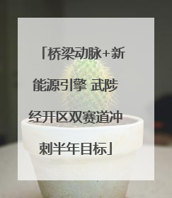 桥梁动脉+新能源引擎 武陟经开区双赛道冲刺半年目标