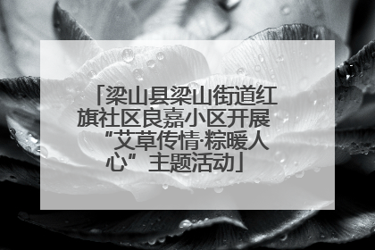 梁山县梁山街道红旗社区良嘉小区开展“艾草传情·粽暖人心”主题活动
