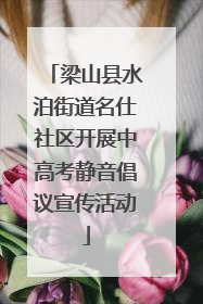 梁山县水泊街道名仕社区开展中高考静音倡议宣传活动