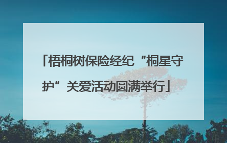 梧桐树保险经纪“桐星守护”关爱活动圆满举行