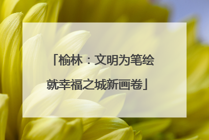 榆林：文明为笔绘就幸福之城新画卷