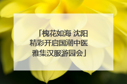 槐花如海 沈阳精彩开启国潮中医雅集汉服游园会