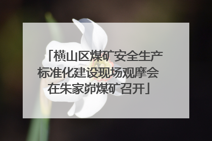 横山区煤矿安全生产标准化建设现场观摩会在朱家峁煤矿召开