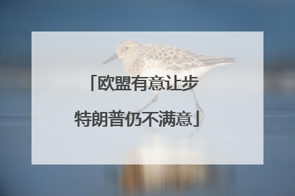 欧盟有意让步 特朗普仍不满意