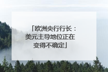 欧洲央行行长：美元主导地位正在变得不确定