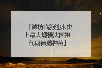 潍坊临朐迎来史上最大规模法国祖代朗德鹅种苗