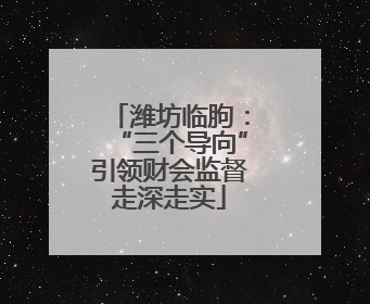 潍坊临朐：“三个导向”引领财会监督走深走实