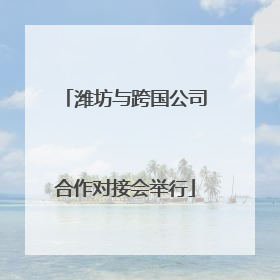 潍坊与跨国公司合作对接会举行