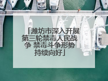潍坊市深入开展第三轮禁毒人民战争 禁毒斗争形势持续向好