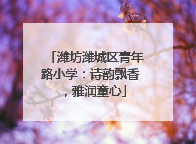 潍坊潍城区青年路小学：诗韵飘香，雅润童心
