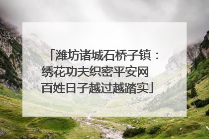 潍坊诸城石桥子镇：绣花功夫织密平安网 百姓日子越过越踏实