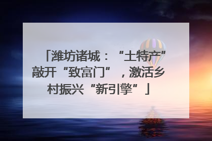 潍坊诸城：“土特产”敲开“致富门”，激活乡村振兴“新引擎”