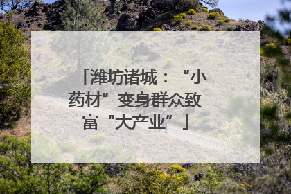 潍坊诸城：“小药材”变身群众致富“大产业”