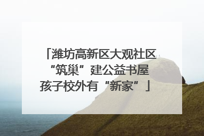 潍坊高新区大观社区“筑巢”建公益书屋 孩子校外有“新家”
