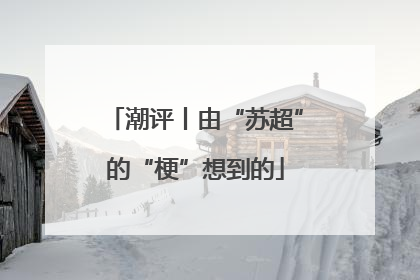 潮评丨由“苏超”的“梗”想到的
