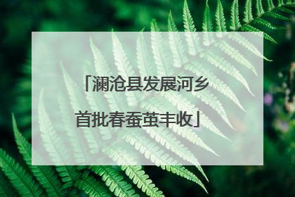 澜沧县发展河乡首批春蚕茧丰收