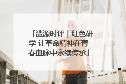 澧源时评｜红色研学 让革命精神在青春血脉中永续传承
