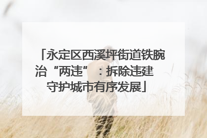 永定区西溪坪街道铁腕治“两违”：拆除违建 守护城市有序发展