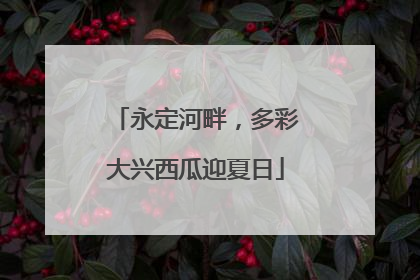 永定河畔，多彩大兴西瓜迎夏日