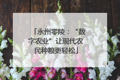 永州零陵：“数字农业”让现代农民种粮更轻松